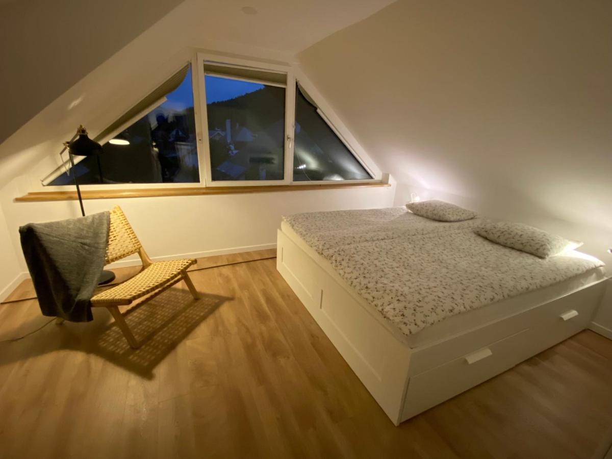 Apartment Zidana Marela - Attic With A View Краньска Гора Экстерьер фото