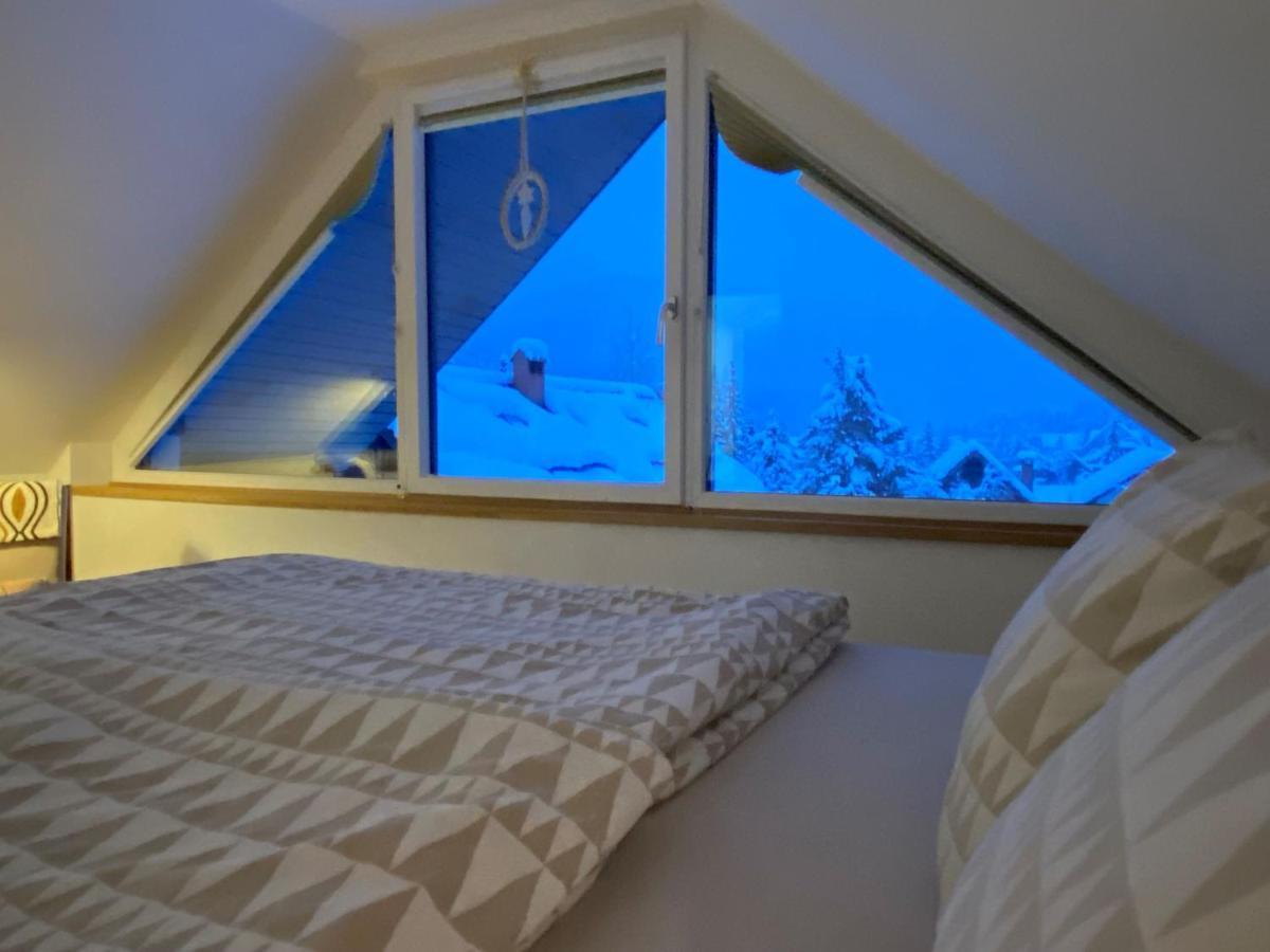 Apartment Zidana Marela - Attic With A View Краньска Гора Экстерьер фото